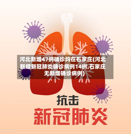河北新增47例确诊均在石家庄(河北新增新冠肺炎确诊病例14例,石家庄无新增确诊病例)