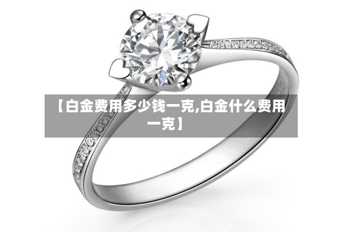 【白金费用多少钱一克,白金什么费用一克】