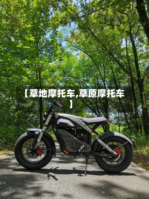 【草地摩托车,草原摩托车】
