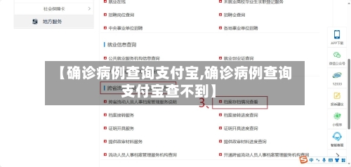 【确诊病例查询支付宝,确诊病例查询支付宝查不到】