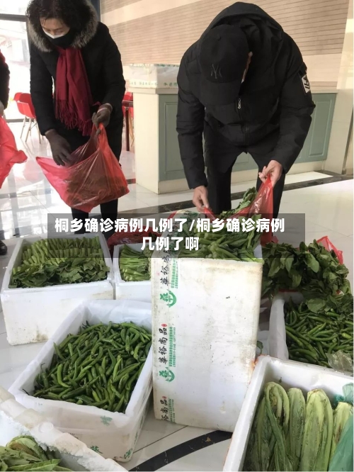 桐乡确诊病例几例了/桐乡确诊病例几例了啊-第3张图片