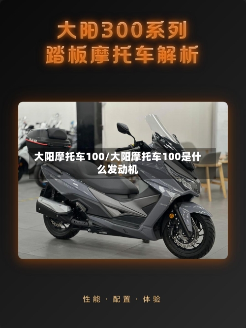 大阳摩托车100/大阳摩托车100是什么发动机-第3张图片