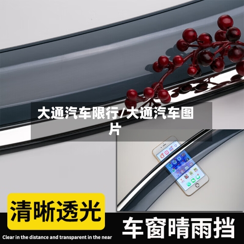 大通汽车限行/大通汽车图片