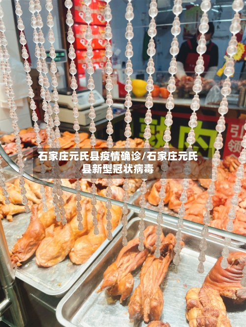 石家庄元氏县疫情确诊/石家庄元氏县新型冠状病毒-第2张图片