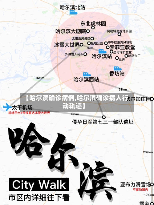 【哈尔滨确诊病例,哈尔滨确诊病人行动轨迹】-第2张图片