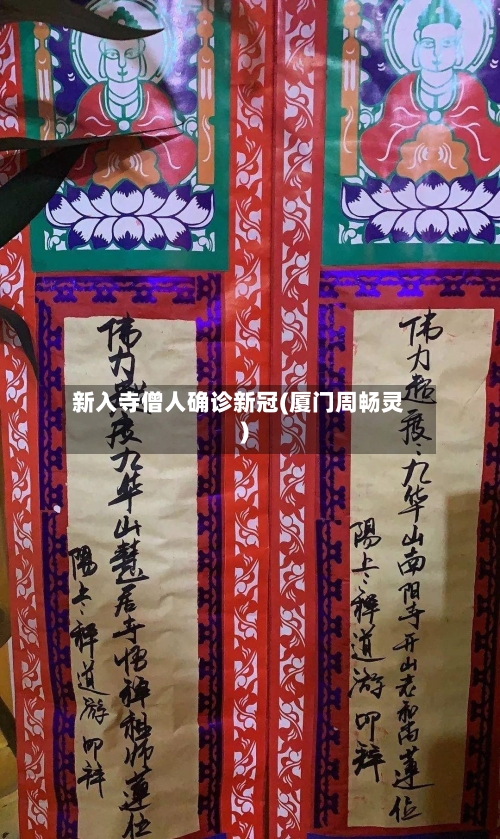 新入寺僧人确诊新冠(厦门周畅灵)