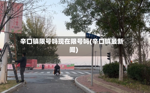 辛口镇限号吗现在限号吗(辛口镇最新闻)