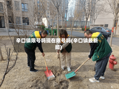辛口镇限号吗现在限号吗(辛口镇最新闻)-第2张图片