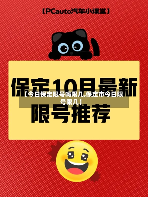 【今日保定限号吗限几,保定市今日限号限几】-第3张图片