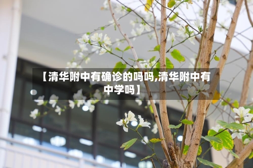 【清华附中有确诊的吗吗,清华附中有中学吗】
