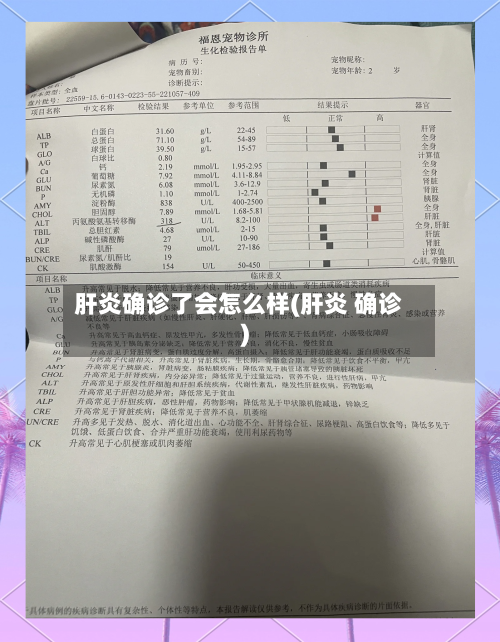 肝炎确诊了会怎么样(肝炎 确诊)