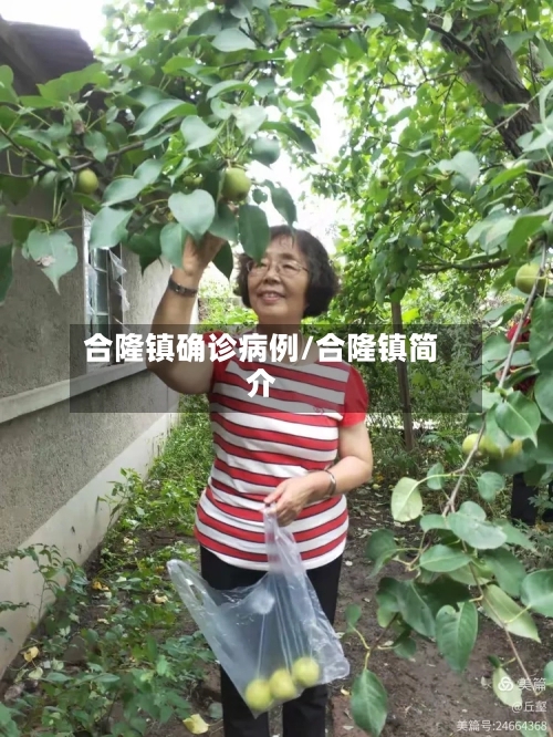 合隆镇确诊病例/合隆镇简介-第3张图片