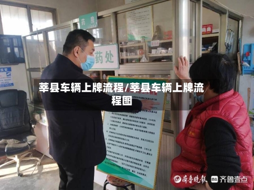 莘县车辆上牌流程/莘县车辆上牌流程图