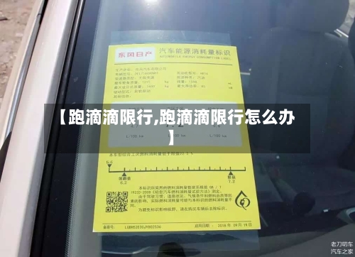 【跑滴滴限行,跑滴滴限行怎么办】-第2张图片