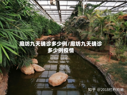廊坊九天确诊多少例/廊坊九天确诊多少例疫情-第2张图片