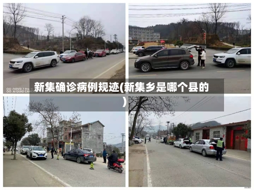 新集确诊病例规迹(新集乡是哪个县的)
