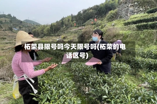 柘荣县限号吗今天限号吗(柘荣的电话区号)