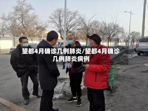 望都4月确诊几例肺炎/望都4月确诊几例肺炎病例-第3张图片