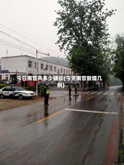 今日南宫共多少确诊(今天南宫新增几例)-第2张图片