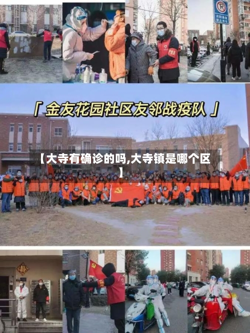 【大寺有确诊的吗,大寺镇是哪个区】
