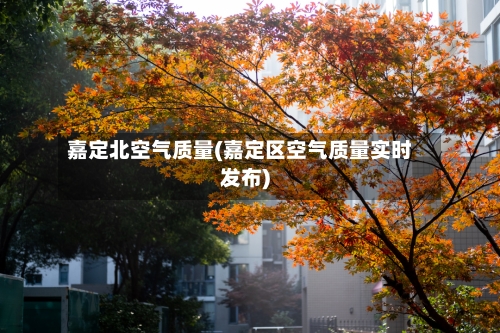 嘉定北空气质量(嘉定区空气质量实时发布)-第3张图片