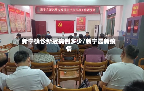 新宁确诊新冠病例多少/新宁最新疫情-第3张图片