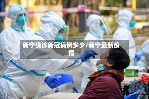 新宁确诊新冠病例多少/新宁最新疫情-第2张图片