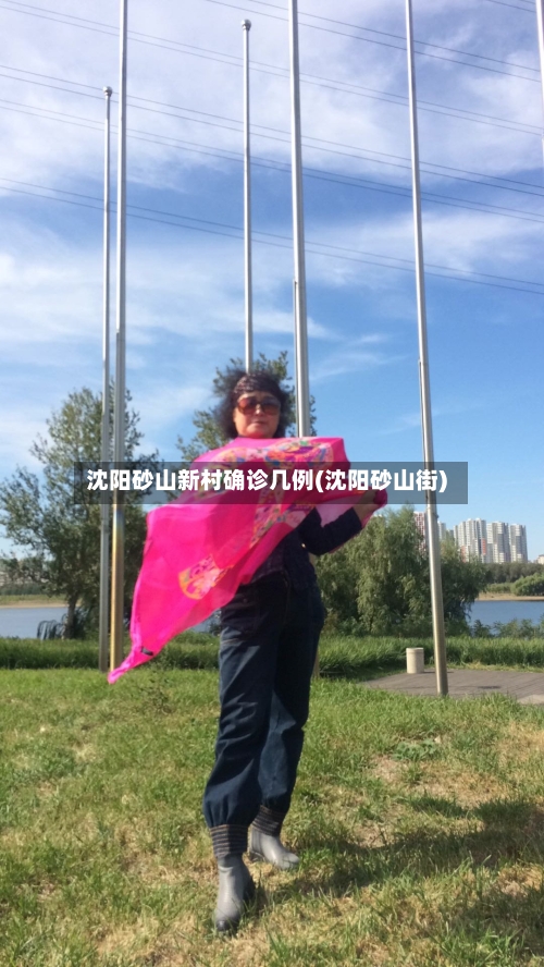 沈阳砂山新村确诊几例(沈阳砂山街)
