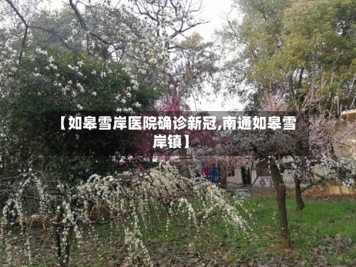 【如皋雪岸医院确诊新冠,南通如皋雪岸镇】