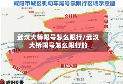 武汉大桥限号怎么限行/武汉大桥限号怎么限行的
