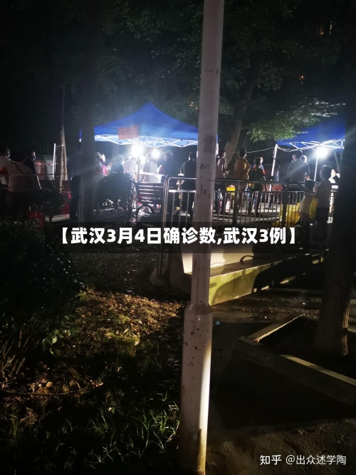 【武汉3月4日确诊数,武汉3例】-第3张图片