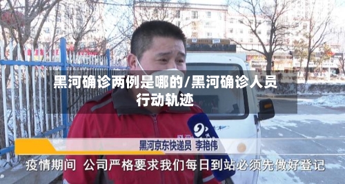 黑河确诊两例是哪的/黑河确诊人员行动轨迹-第2张图片
