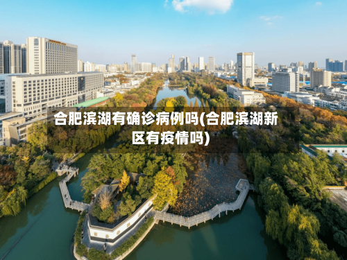 合肥滨湖有确诊病例吗(合肥滨湖新区有疫情吗)-第2张图片