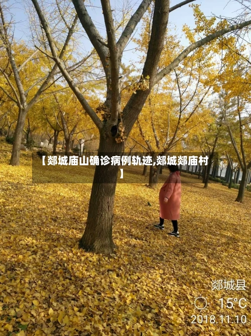 【郯城庙山确诊病例轨迹,郯城郯庙村】-第2张图片