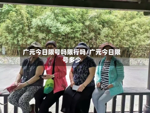广元今日限号吗限行吗/广元今日限号多少-第2张图片