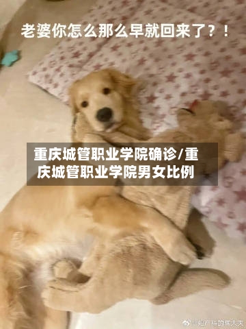 重庆城管职业学院确诊/重庆城管职业学院男女比例-第2张图片