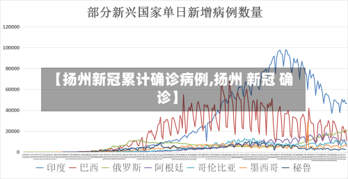 【扬州新冠累计确诊病例,扬州 新冠 确诊】-第2张图片