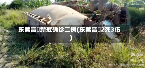 东莞高埗新冠确诊二例(东莞高埗2死3伤)-第2张图片