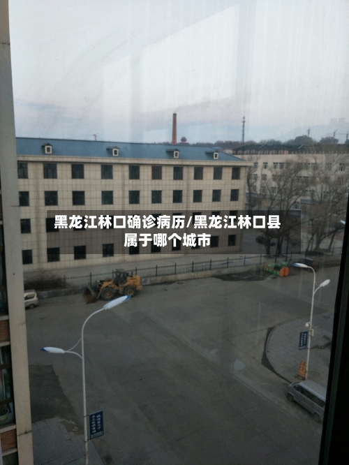 黑龙江林口确诊病历/黑龙江林口县属于哪个城市-第2张图片