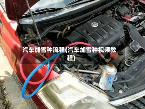 汽车加雪种流程(汽车加雪种视频教程)