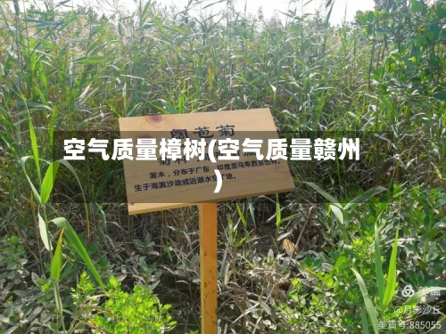 空气质量樟树(空气质量赣州)
