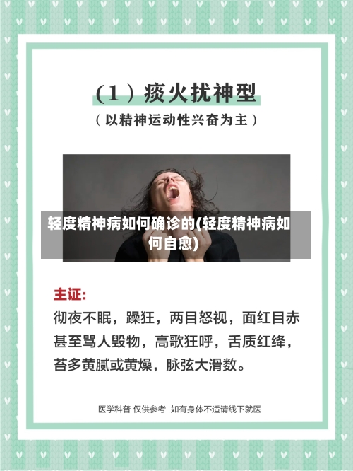 轻度精神病如何确诊的(轻度精神病如何自愈)-第2张图片