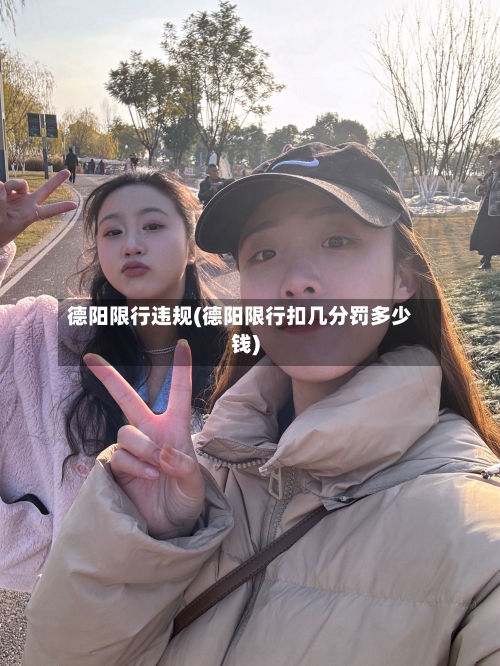 德阳限行违规(德阳限行扣几分罚多少钱)-第2张图片