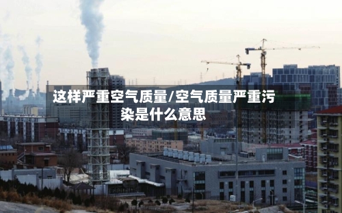 这样严重空气质量/空气质量严重污染是什么意思