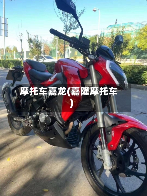 摩托车嘉龙(嘉隆摩托车)-第3张图片
