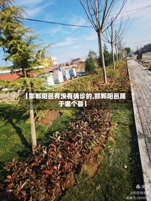 【邯郸阳邑有没有确诊的,邯郸阳邑属于哪个县】