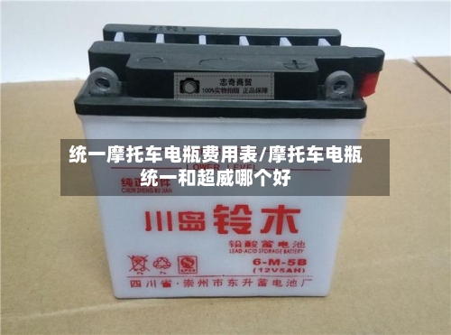 统一摩托车电瓶费用表/摩托车电瓶统一和超威哪个好-第3张图片