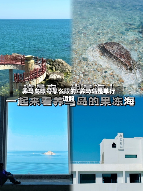 养马岛限号怎么限的/养马岛是单行道吗-第2张图片