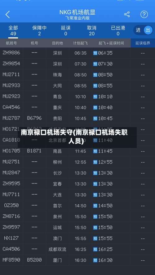 南京禄口机场失守(南京禄口机场失职人员)