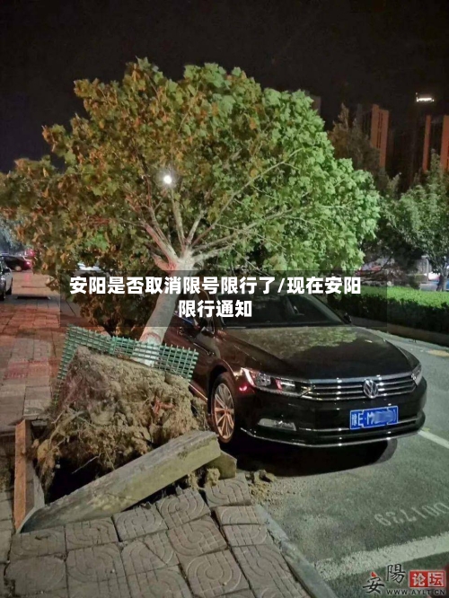 安阳是否取消限号限行了/现在安阳限行通知-第3张图片